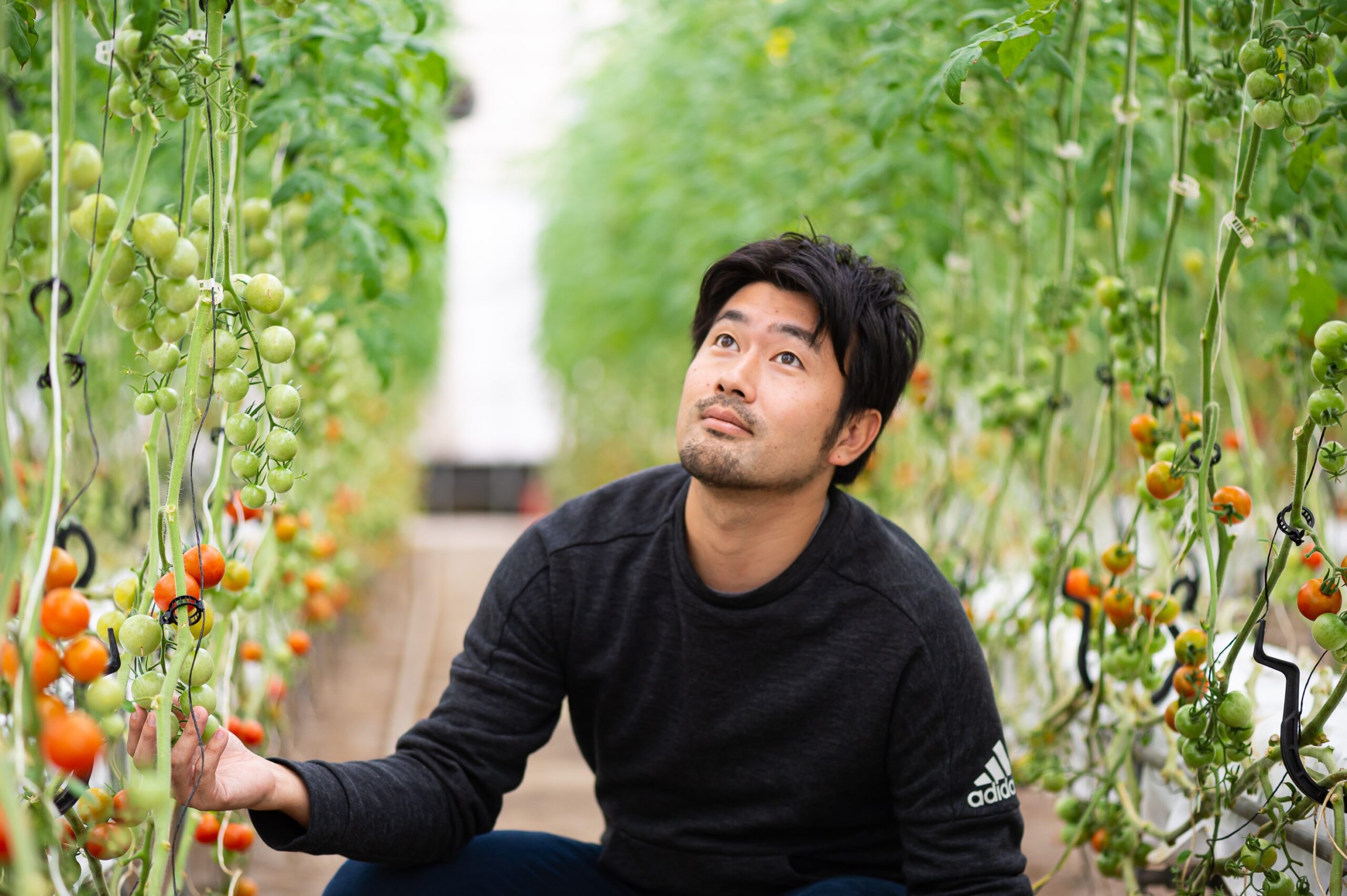 農業ビジネスセミナー（勉強会と現地視察）／みつヴィレッジ